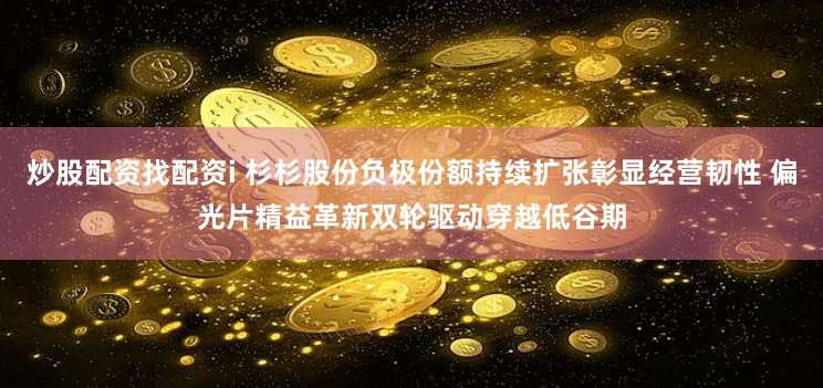 炒股配资找配资i 杉杉股份负极份额持续扩张彰显经营韧性 偏光片精益革新双轮驱动穿越低谷期