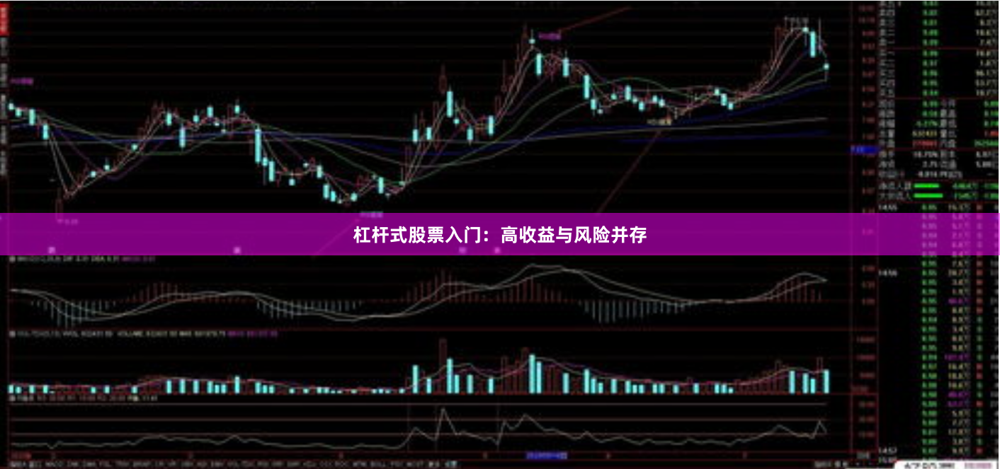 杠杆式股票入门：高收益与风险并存